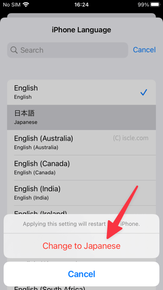 Change to Japanese